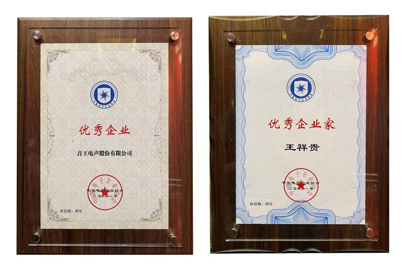 音王再次榮獲中國電子信息行業(yè)優(yōu)秀企業(yè)董事長王祥貴獲得優(yōu)秀企業(yè)家榮譽(yù)稱號(hào)