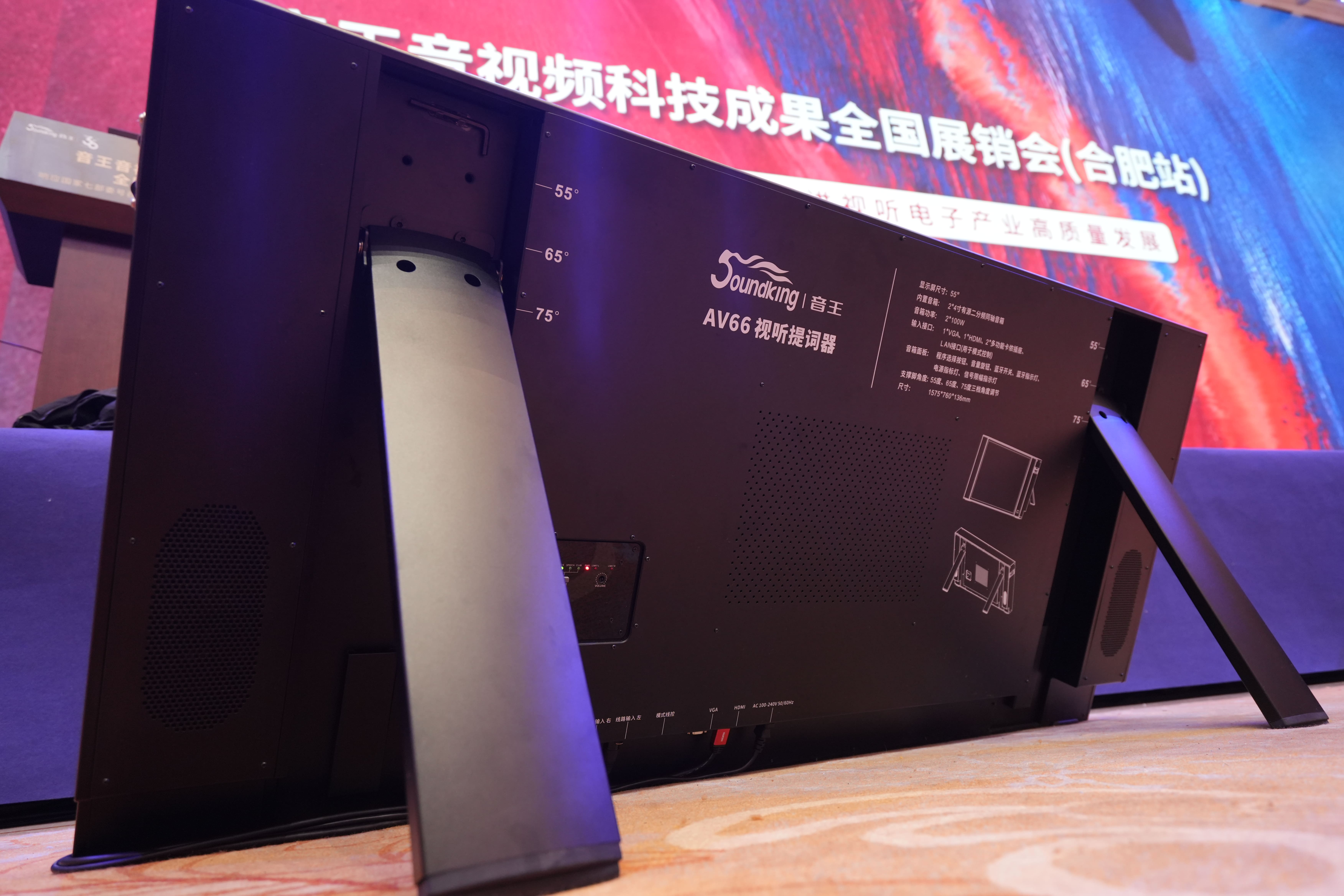 巡展直擊 | 2024音王音視頻科技成果全國展銷會(合肥站)熱浪來襲中！