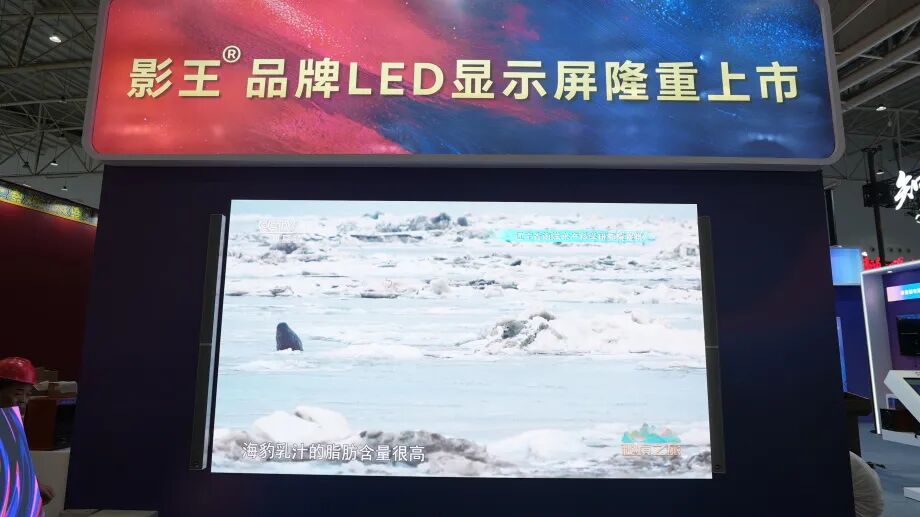 人氣爆棚|音王亮相武漢文旅博覽會，憑借硬核實力強勢出圈